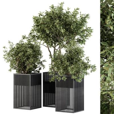 现代绿植盆栽组合-1